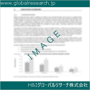 グローバルリサーチ調査資料のイメージ